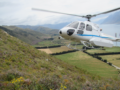 IMG 1009-277 IMG 1009-277